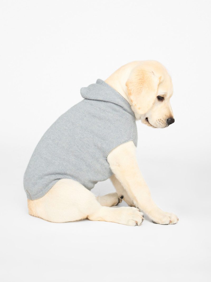 Dog Co.forBrochuWalker CashmereHoodie 2