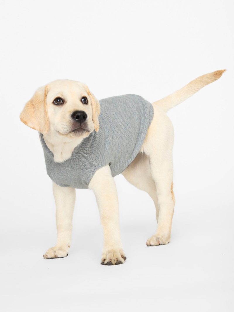 Dog Co.forBrochuWalker CashmereHoodie 3